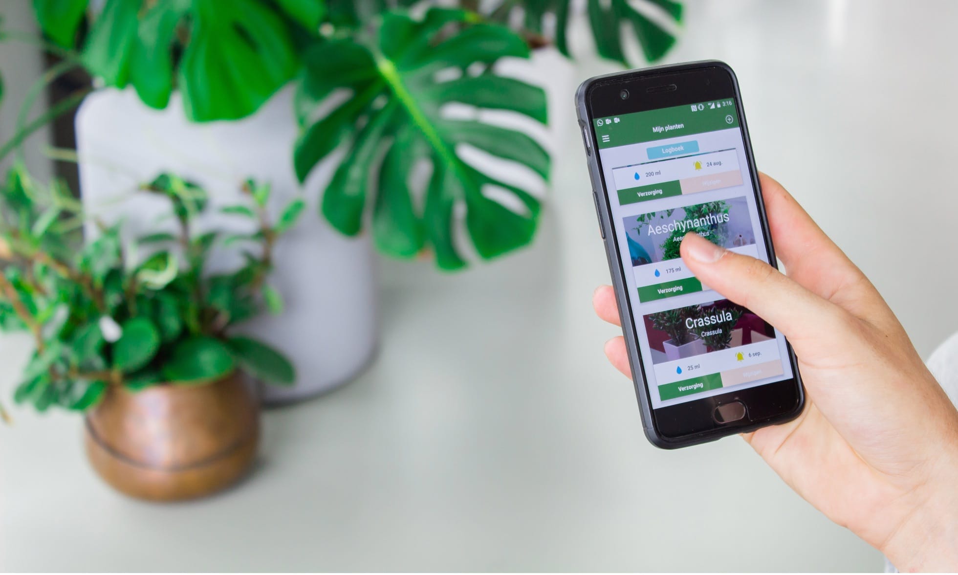 Plantsome's webshop runs on Shopify and integrating Mollie to it was a simple step